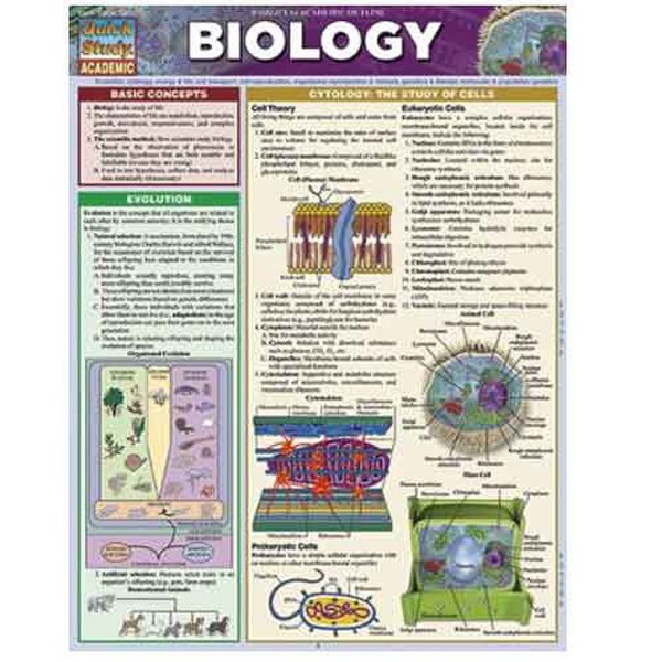 Other Images