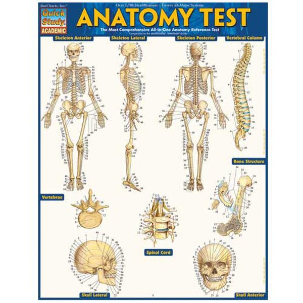 Other Images