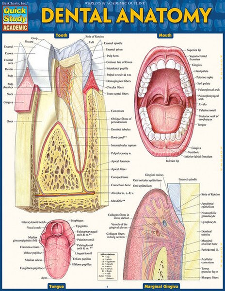 Other Images
