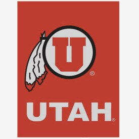 Athletic Logo Silk Screened Double Sided Banner