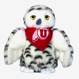 Snowy Owl Aurora Athletic Logo