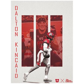 Poster Dalton Kincaid Dropship