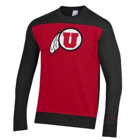Champion Color Blocked Sweatshirt