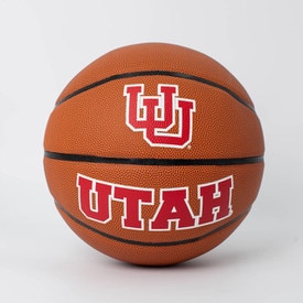 Interlocking U Composite Basketball