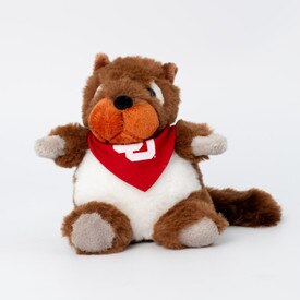 Cheeky Squad Squirrel Bandana