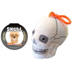 Skull Key Chain