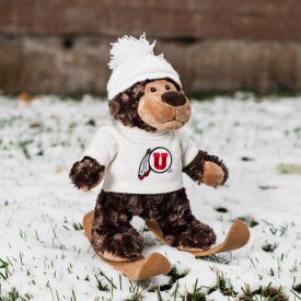 Cozy Bear Ski Outfit with Athletic Logo