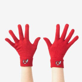 Zoozatz Red Athletic Logo Gloves