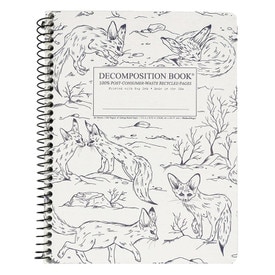 Fennec Foxes Decomposition Book