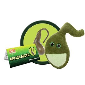 Giant Microbes Gallbladder