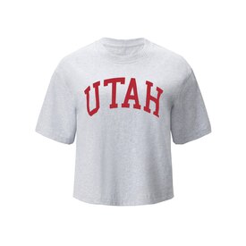 Fabletics Women's Gray Cotton Boxy Tee