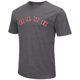 Colosseum Flipped Utah Tee Gray