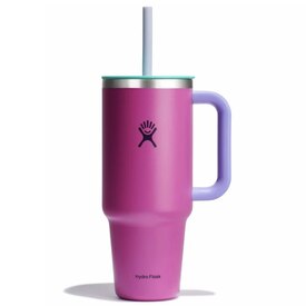 Hydro Flask Remix 40 oz Travel Tumbler Holiday Punch